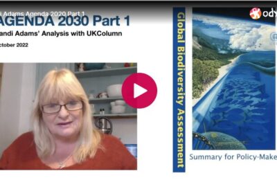 Sandi Adams UK Column on UN Agenda 2030 – Part 1